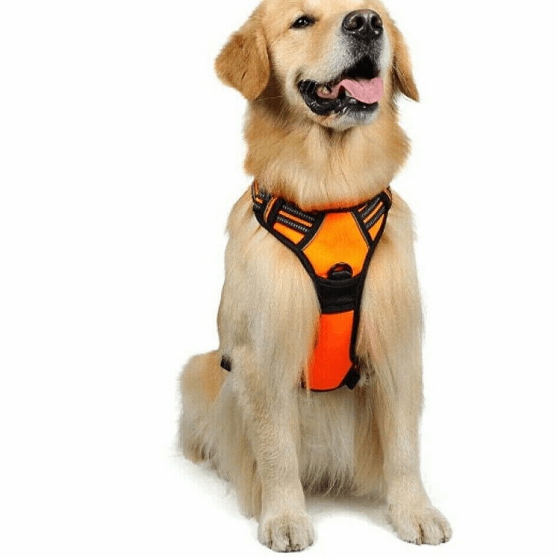 Woof & Whisk Adjustable Dog Harness