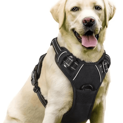 Woof & Whisk Travel Bundle